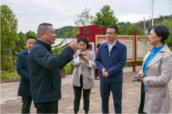 1698653324486039533.png image.png