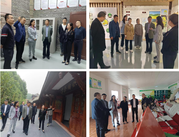 1698715417641062376.png image.png