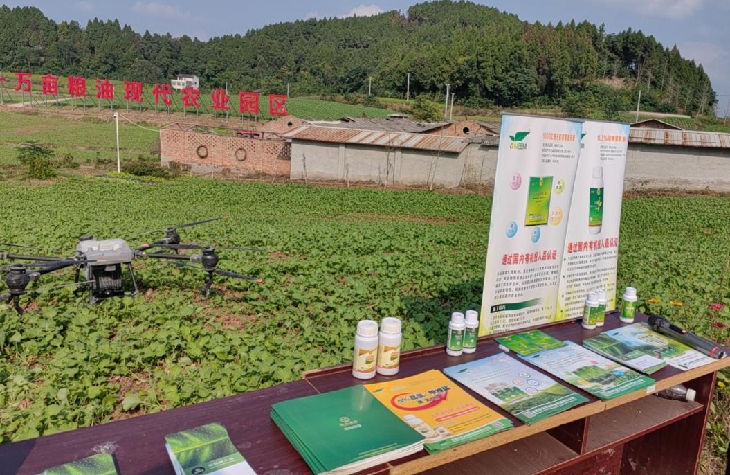 1699181974539096148.png 1699181974539096148.png