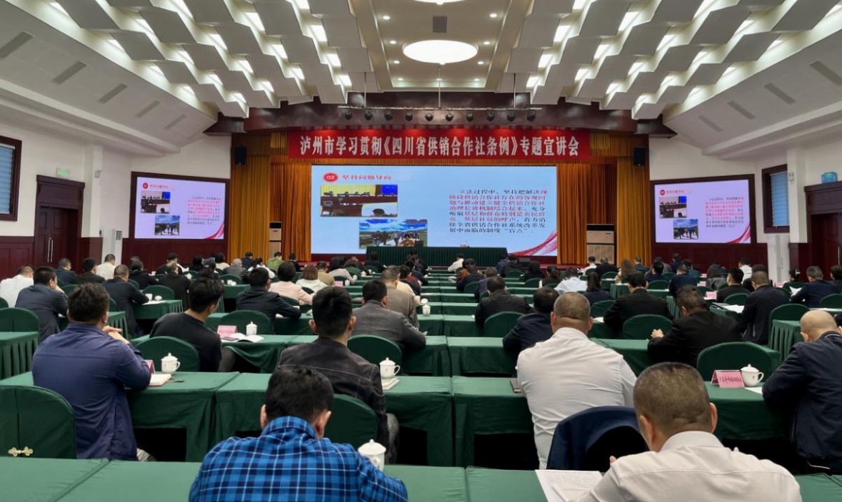 1700038421315082594.png 1700038421315082594.png