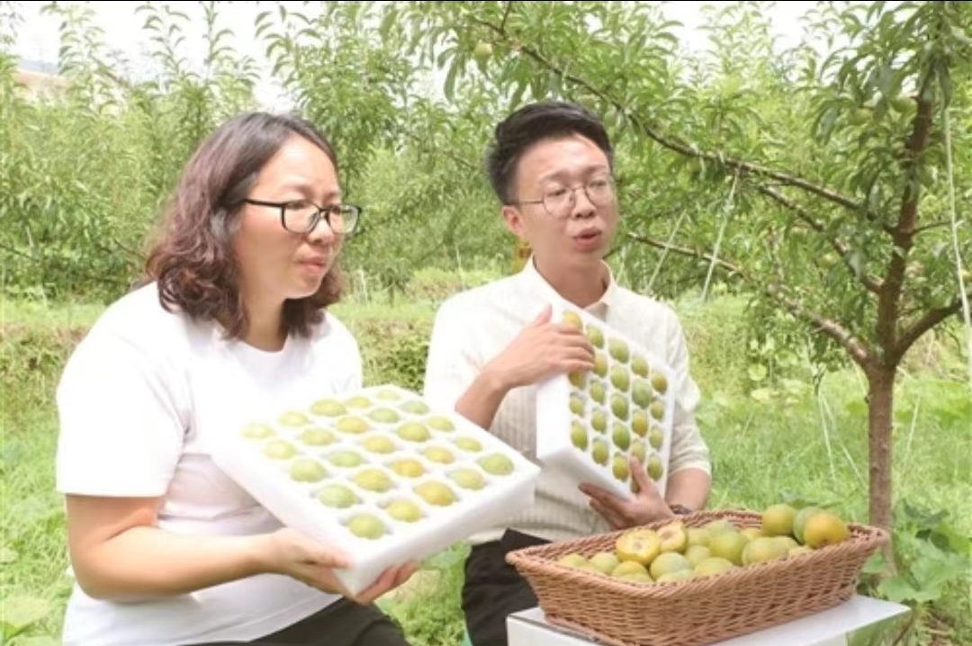 1701610874892085897.jpg 1701610874892085897.jpg