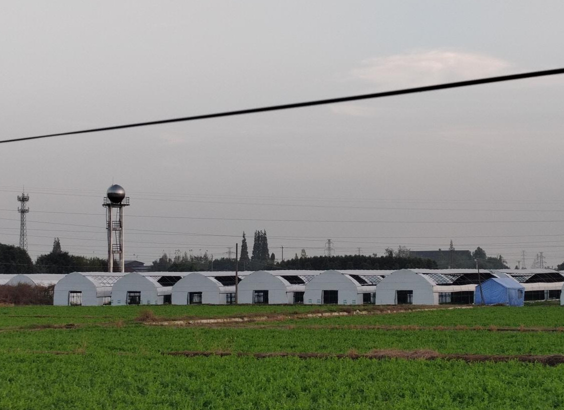 1701855861531005770.png 1701855861531005770.png