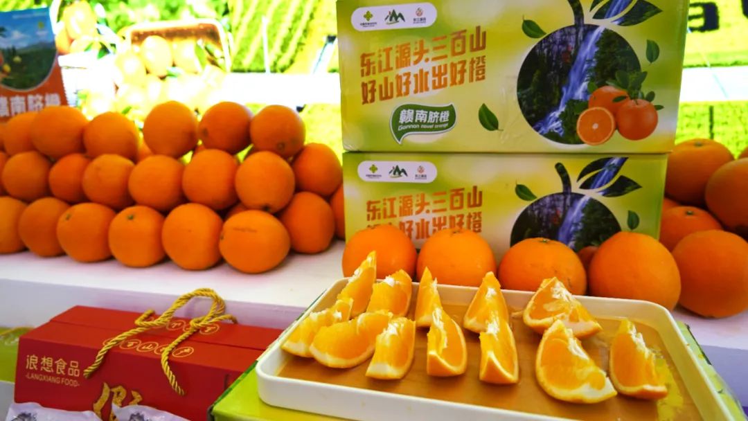 1702907447580088493.jpg 1702907447580088493.jpg