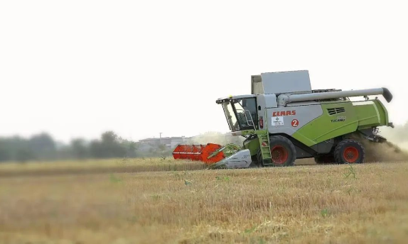 1702989814517036108.png image.png