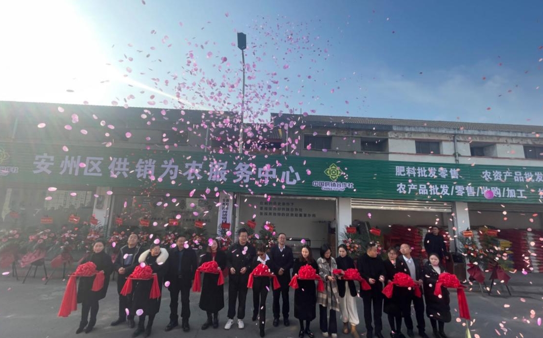 1704354196767041889.png 1704354196767041889.png