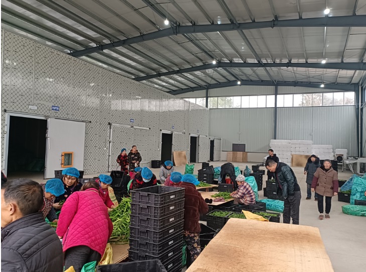 1707117465937097816.jpg 1707117465937097816.jpg