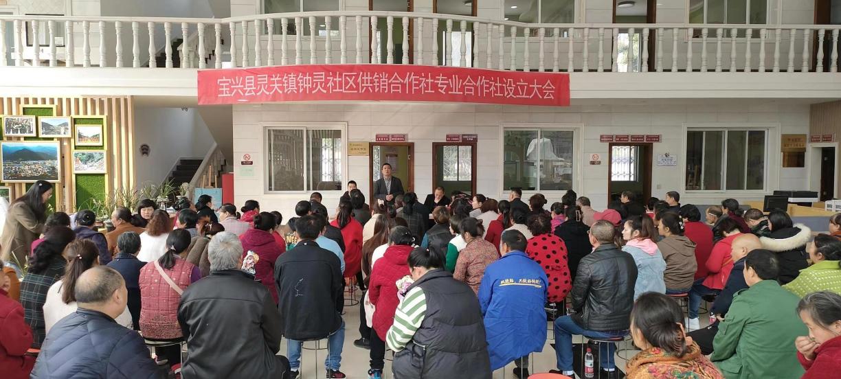 1707125363666057379.jpg 宝兴县供销社.jpg