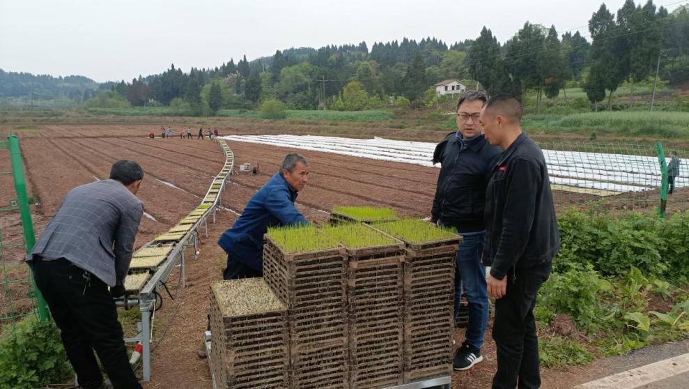 1707125508461008224.jpg 雁江区.jpg