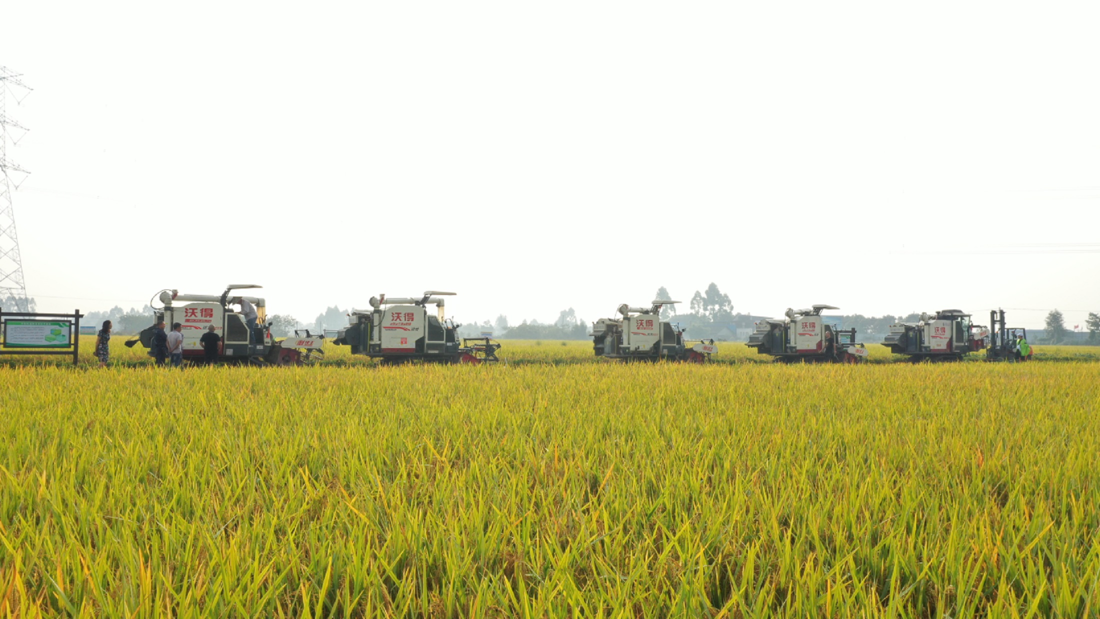 1707126061140023950.jpg 1707126061140023950.jpg