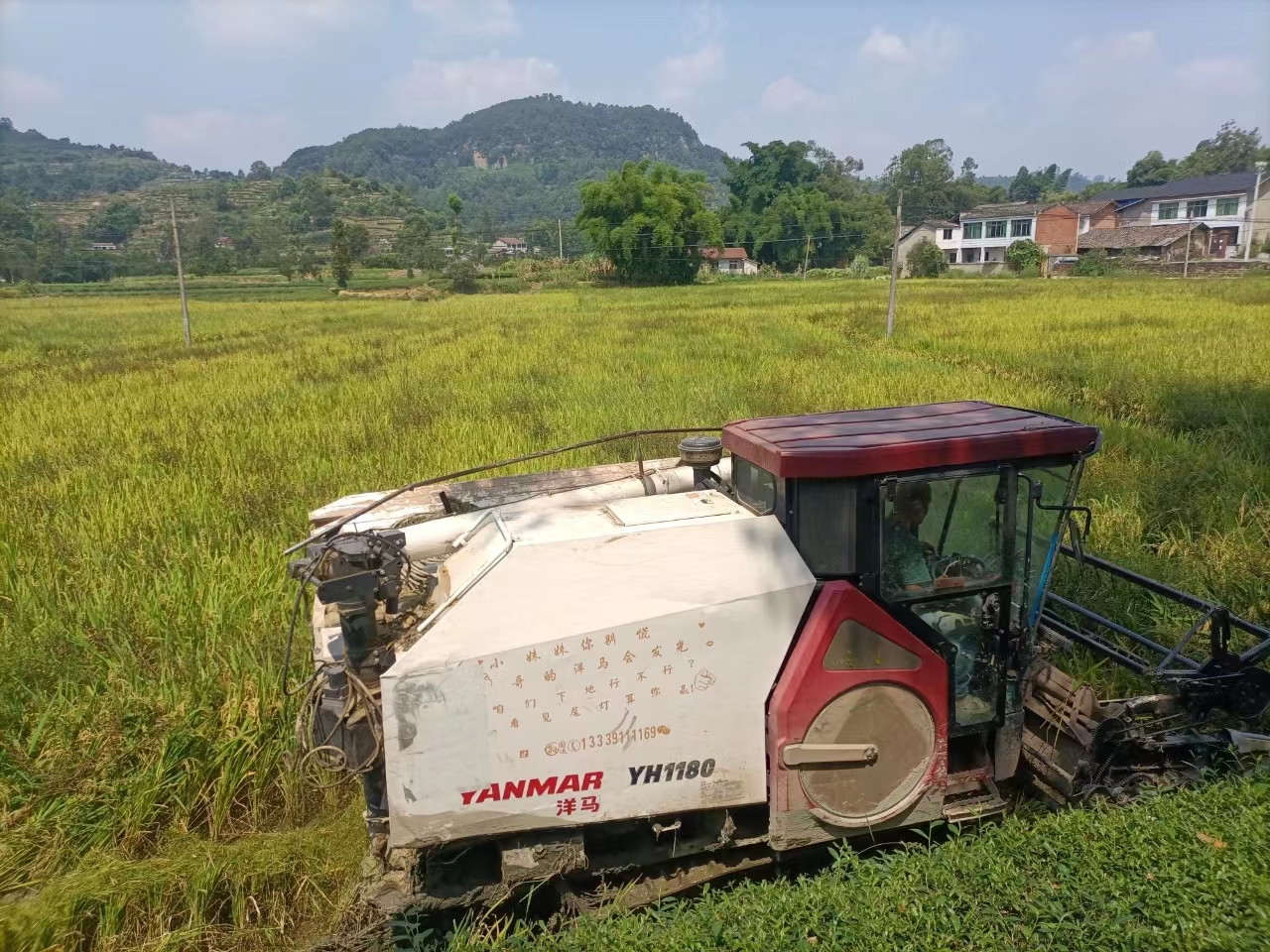 1707127755659009453.jpg 1707127755659009453.jpg