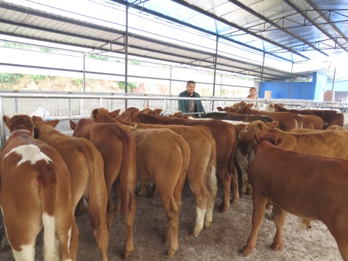 1707128675198002011.jpg 遂宁市蓬溪县蓬南前瑞供销社.jpg