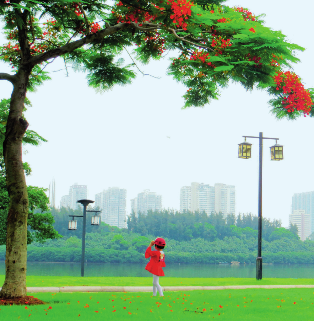 1708423131359048905.png 1708423131359048905.png