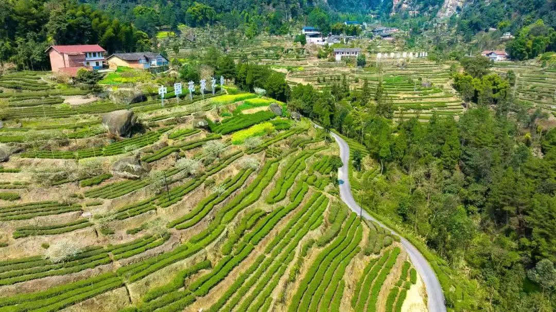 1711442690868030045.png 1711442690868030045.png