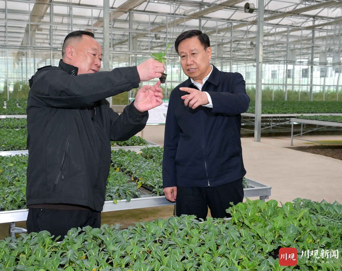 1711463273805070887.jpg 1711463273805070887.jpg