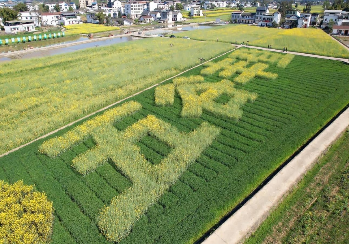 1711634214793052435.png 1711634214793052435.png