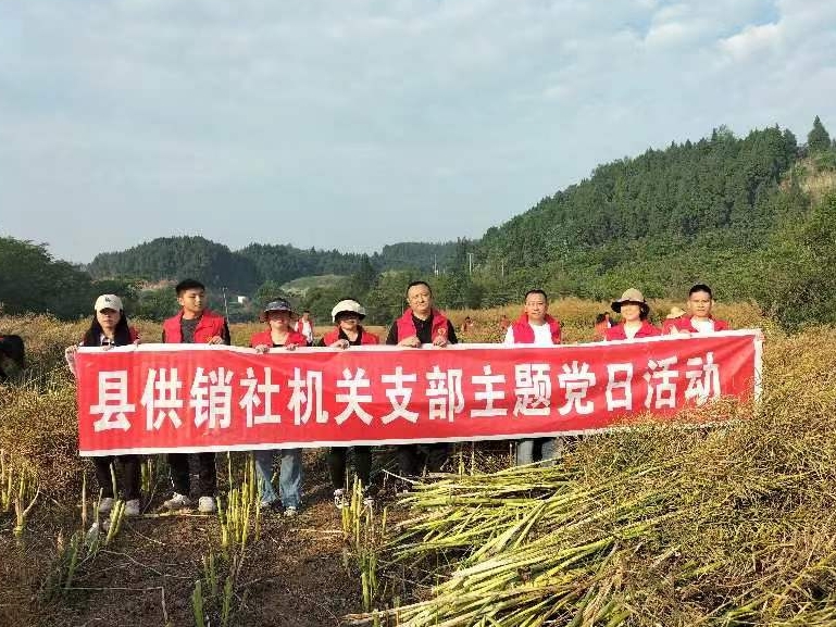 1715077551290020928.png 微信截图_20240507182545.png