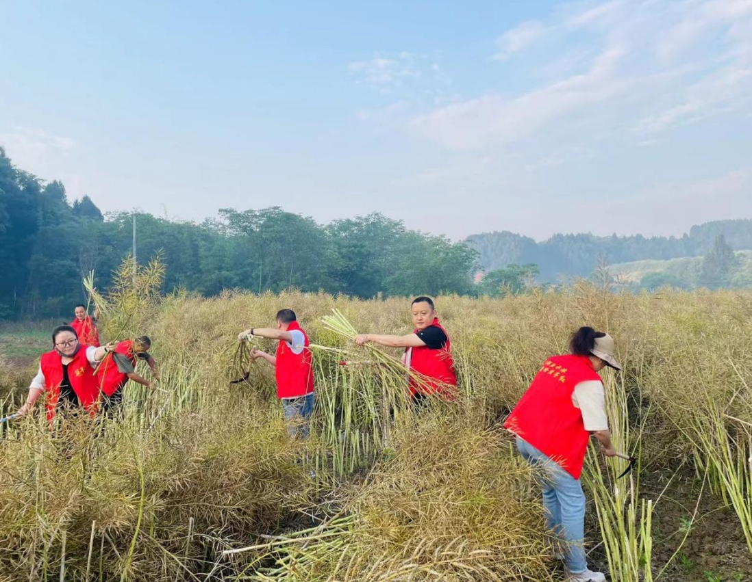 1715077566386082942.png 1715077566386082942.png