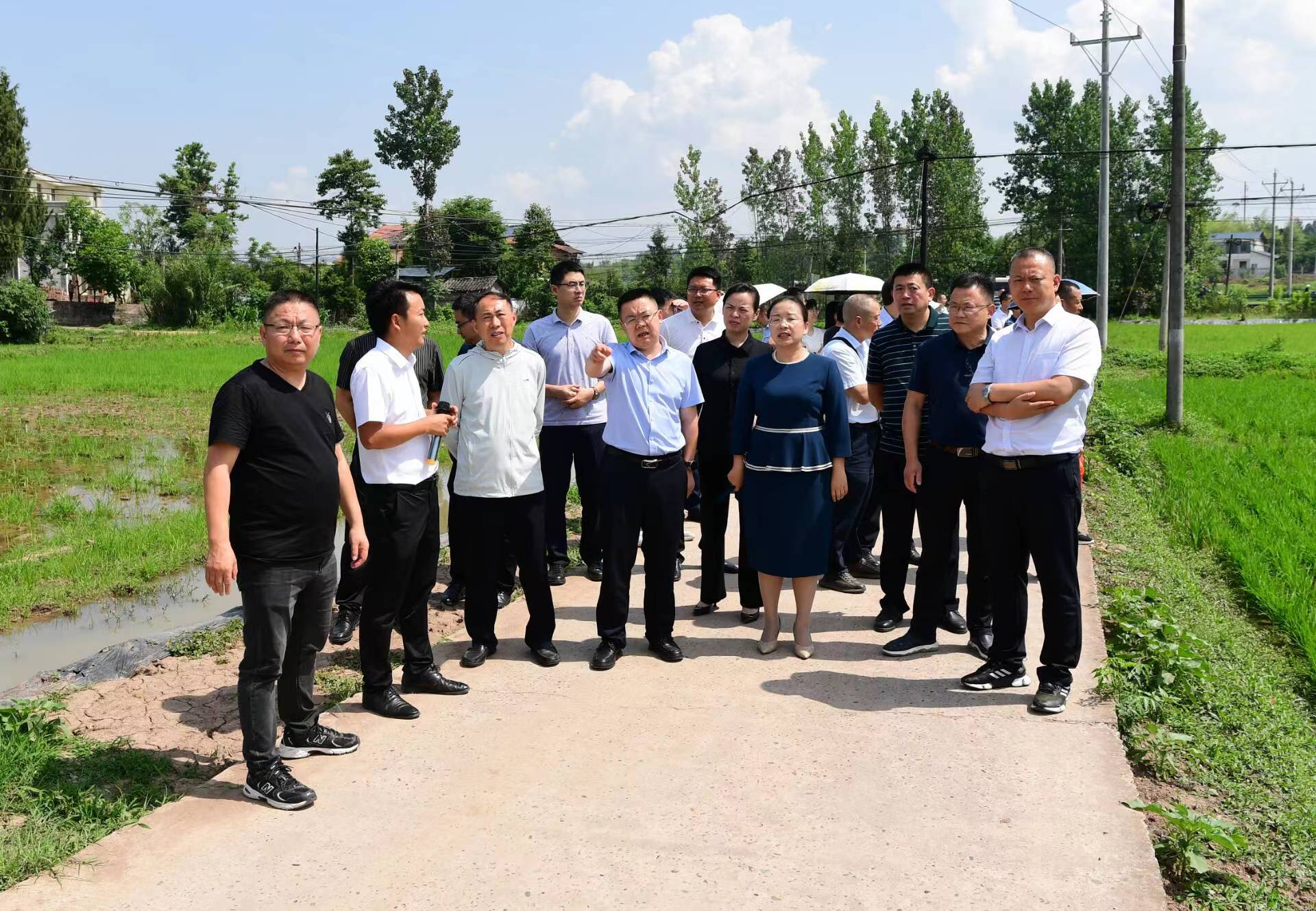 1715955906260050570.jpeg 1715955906260050570.jpeg