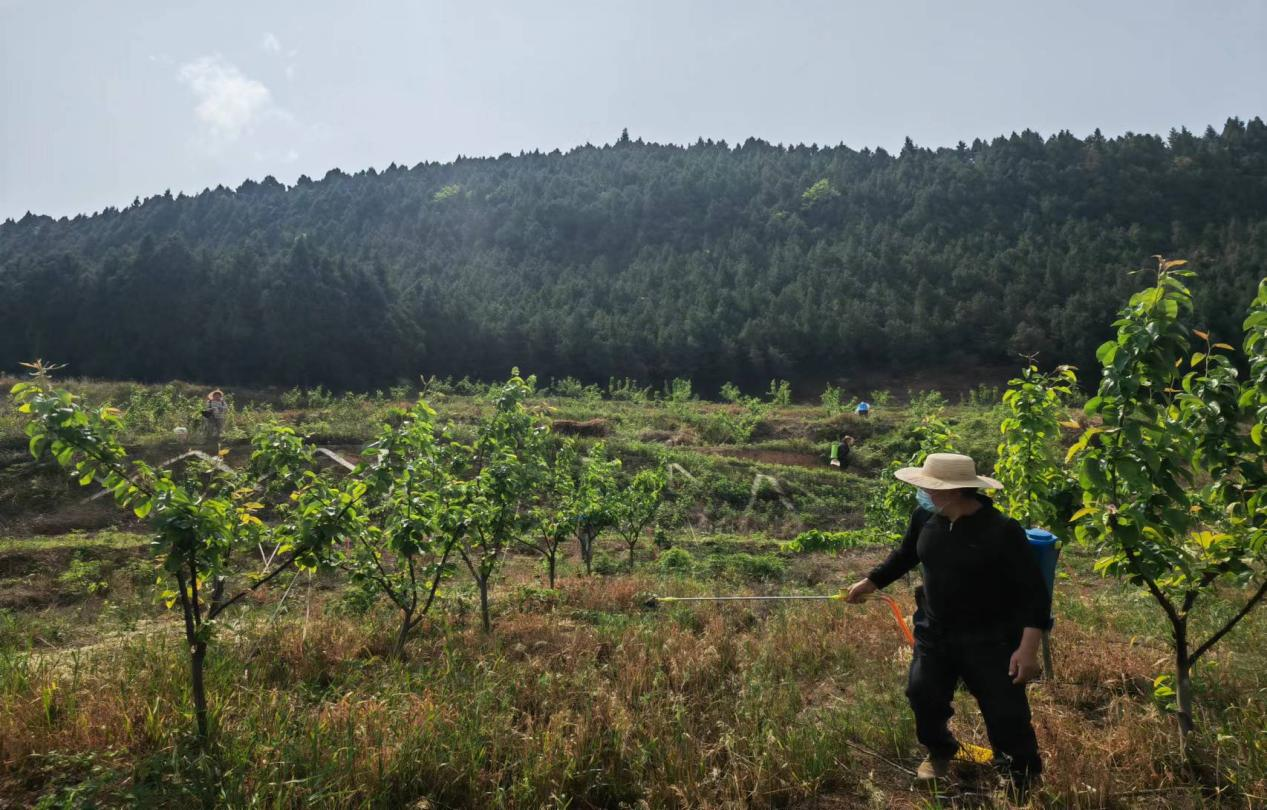 1717468313936079669.png 1717468313936079669.png