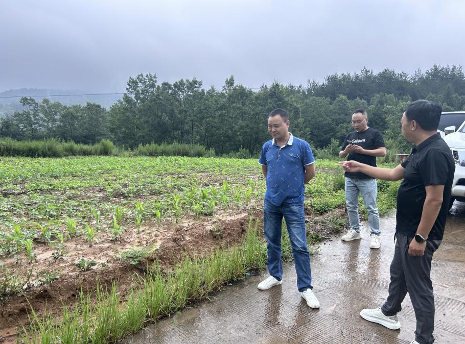 1722838777360074495.png 微信截图_20240805141902.png