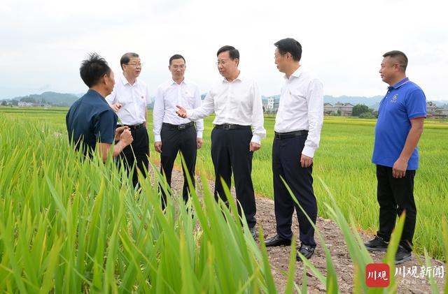 1723731533712009504.jpeg mmexport2ba55d7791edad7f417944df3b24ace2_1723731318542.jpeg