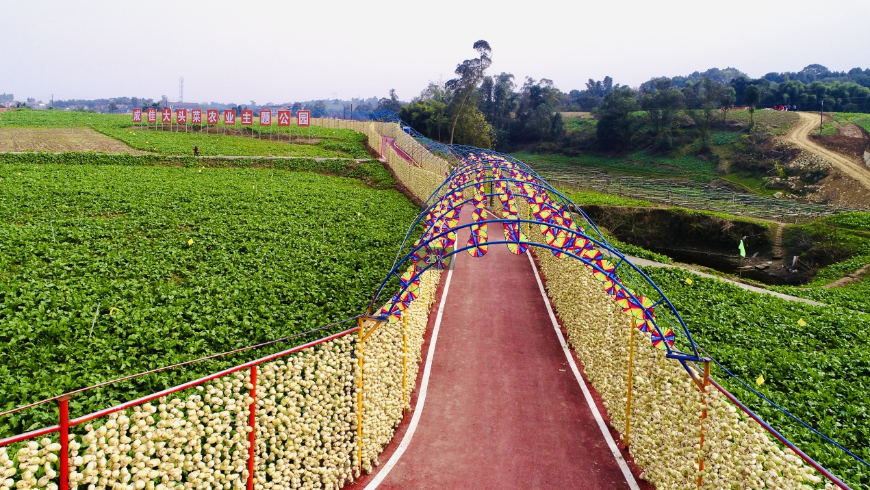 1729248399848055410.png 1729248399848055410.png