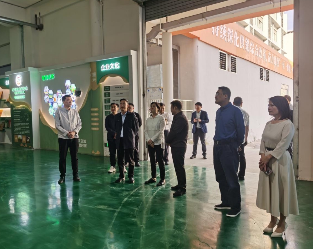 1730108096280050258.png 1730108096280050258.png