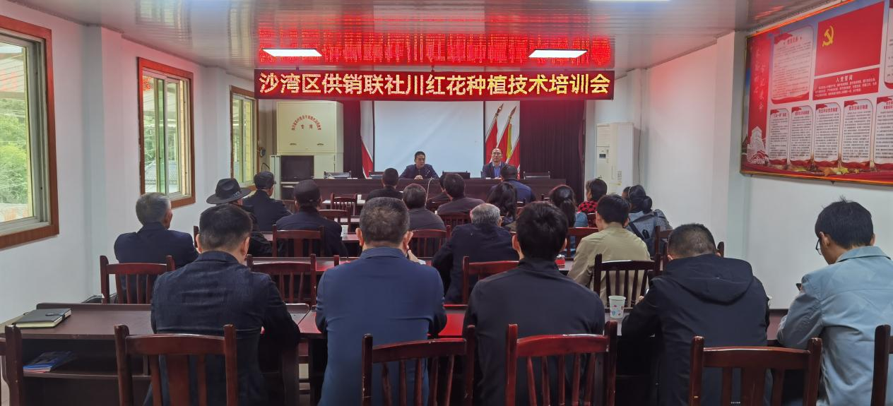 1730428676358006555.png 1730428676358006555.png