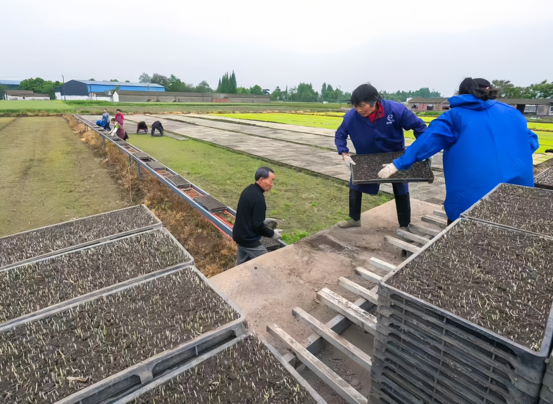 1731554451780062805.png 1731554451780062805.png