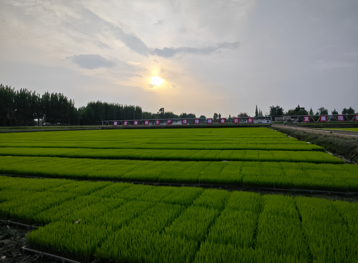 1731554452396051839.png 1731554452396051839.png