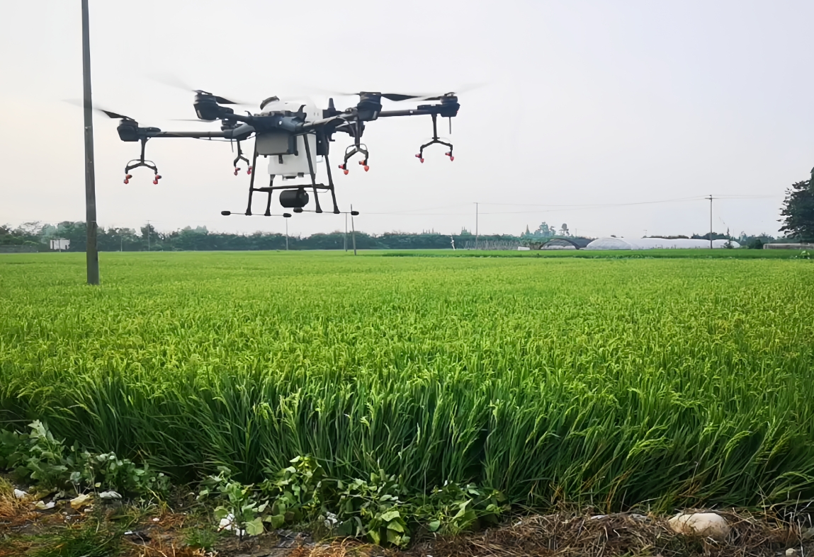 1731554453237021910.png 1731554453237021910.png