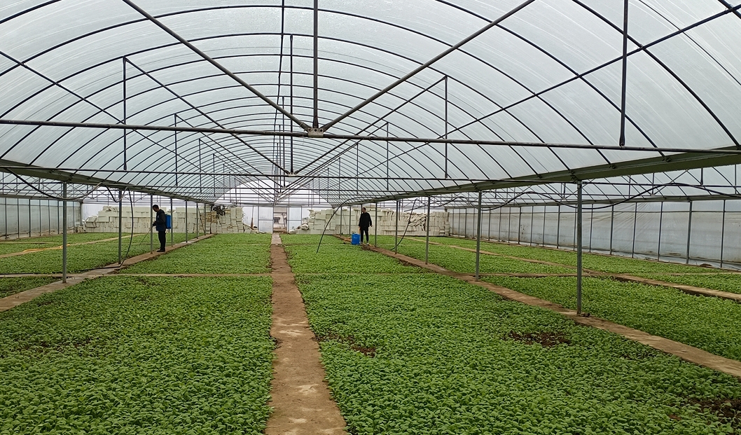 1731921001147032425.png 1731921001147032425.png