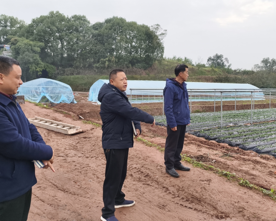 1734405792911000757.png 1734405792911000757.png