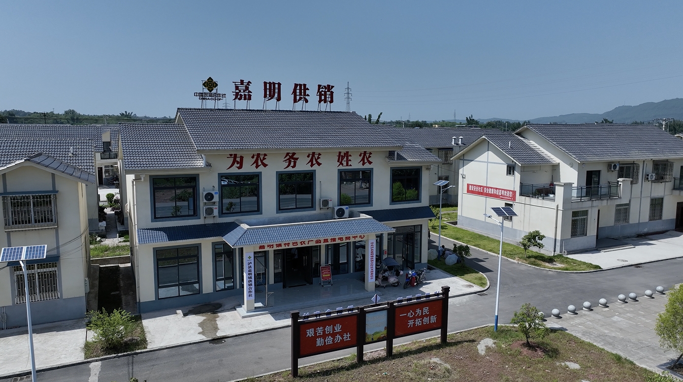 1734661942022062046.png 1734661942022062046.png