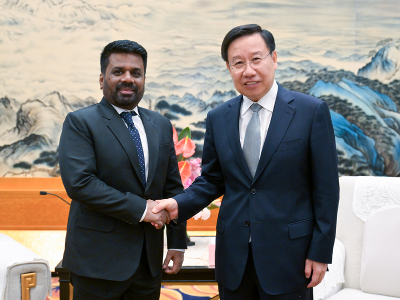 王晓晖会见斯里兰卡总统迪萨纳亚克「相关图片」