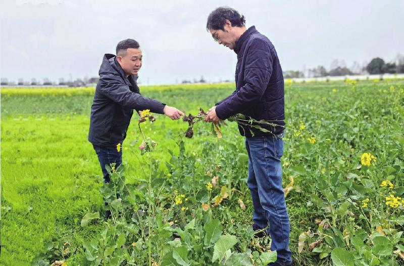 1740709832129056782.png 1740709832129056782.png