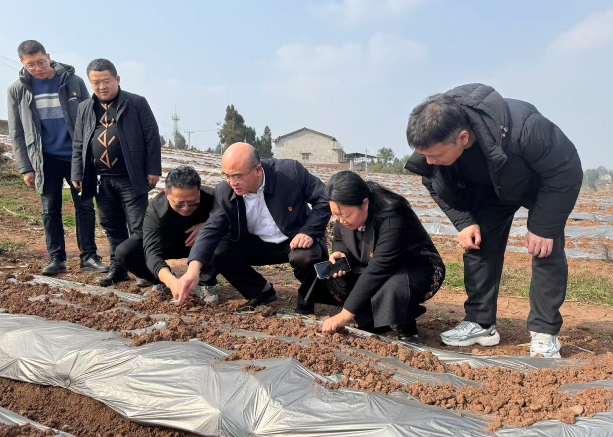 1740997806718052822.png 微信截图_20250303182956.png