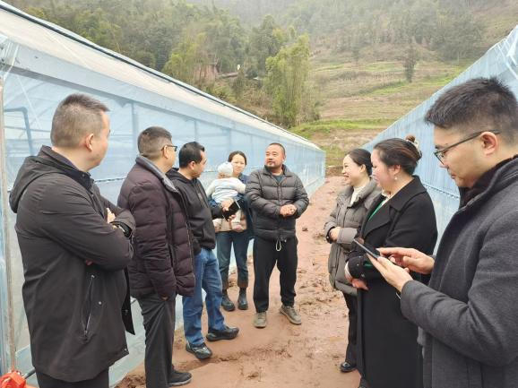 1741937040606066106.png 图片1.png