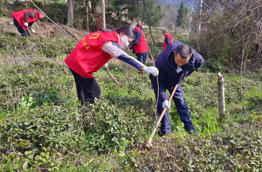 1742379296786095133.png 1742379296786095133.png