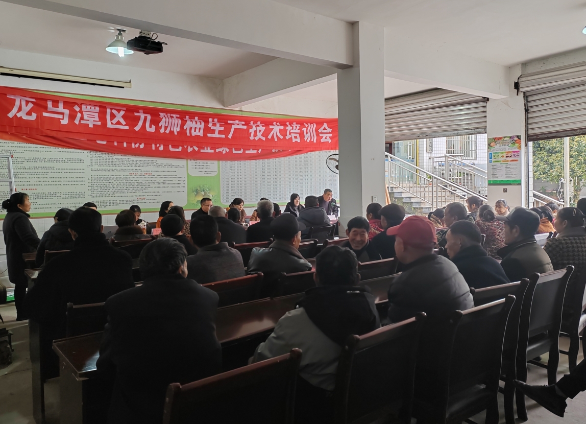 1742553620284044346.png 1742553620284044346.png