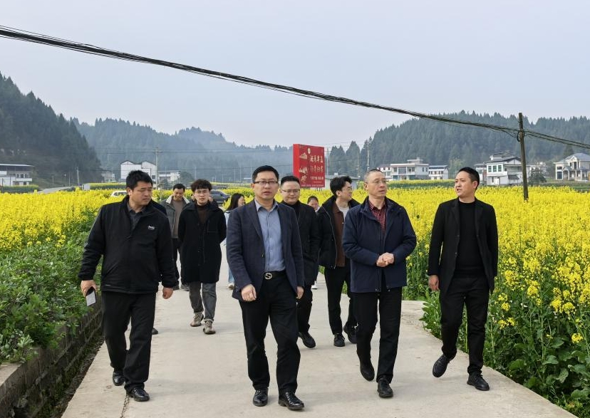 1742554502296068785.png 微信截图_20250321185312.png