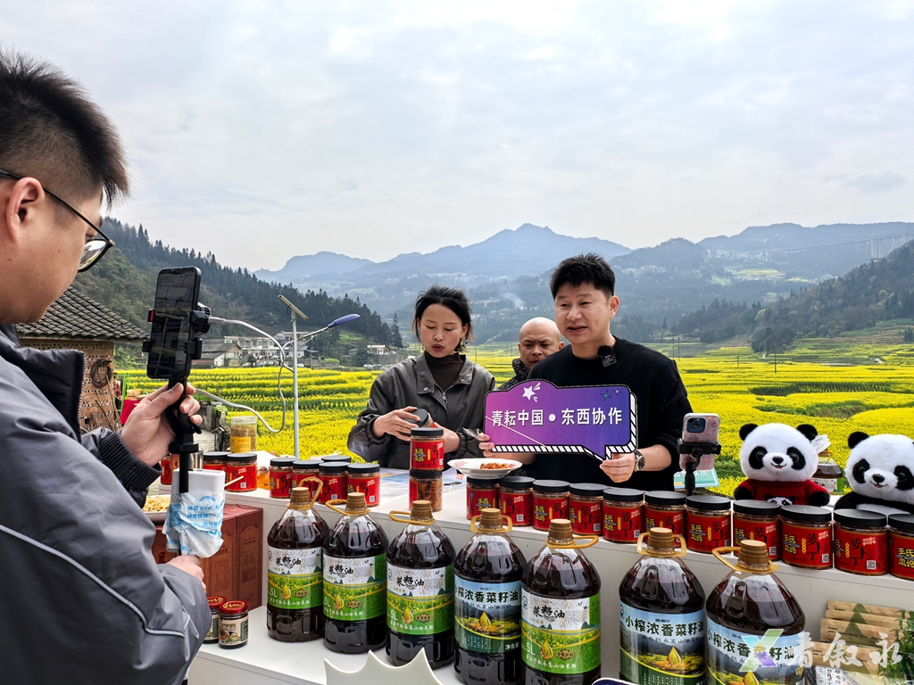 1742995975540020977.png 1742995975540020977.png