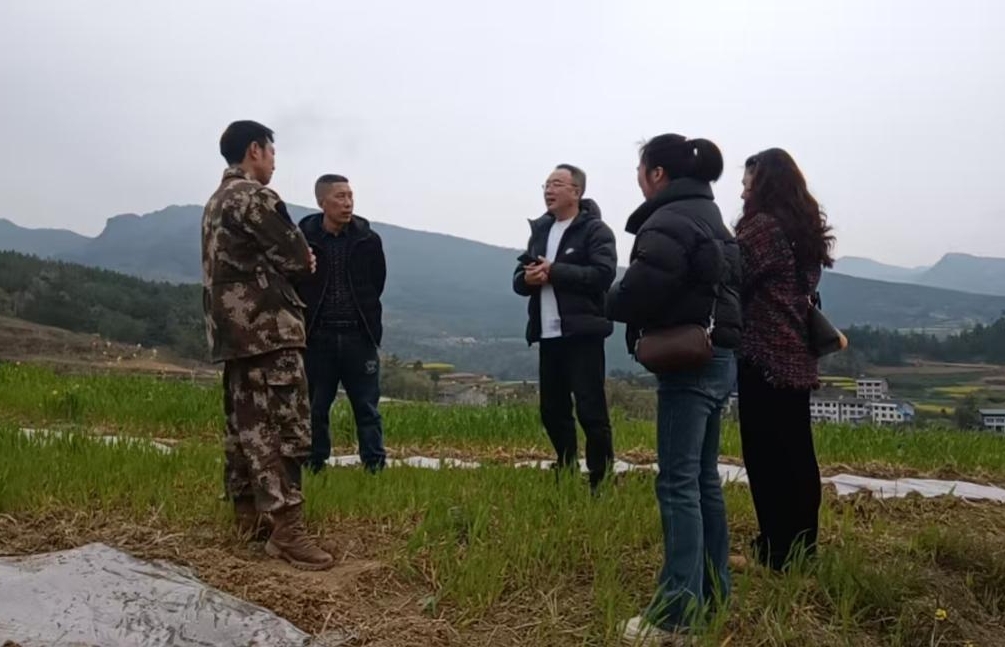 1743414861350042701.png 1743414861350042701.png