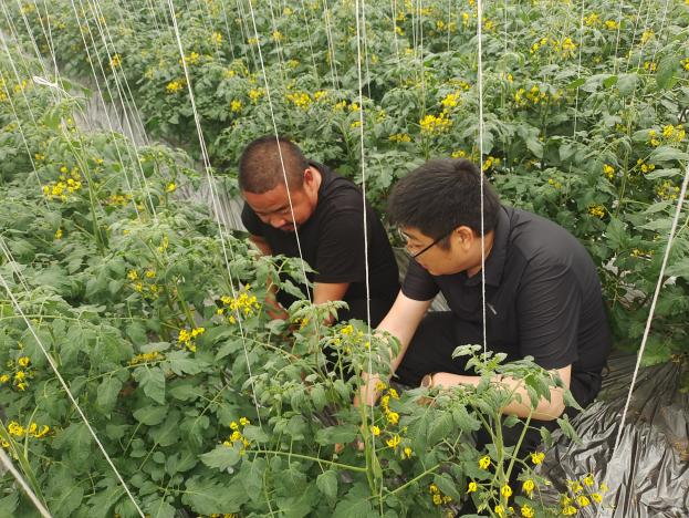 1744874741396004299.png 图片1.png