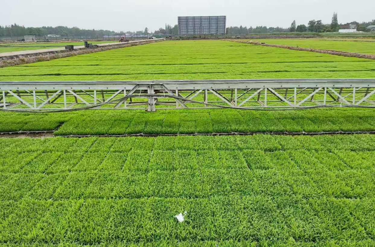 1745838318395051922.png 1745838318395051922.png