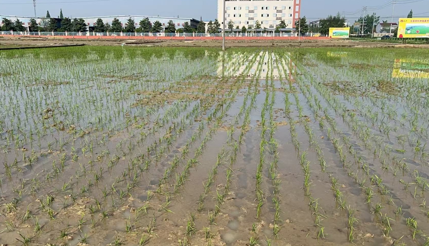 1745838318582085234.png 1745838318582085234.png