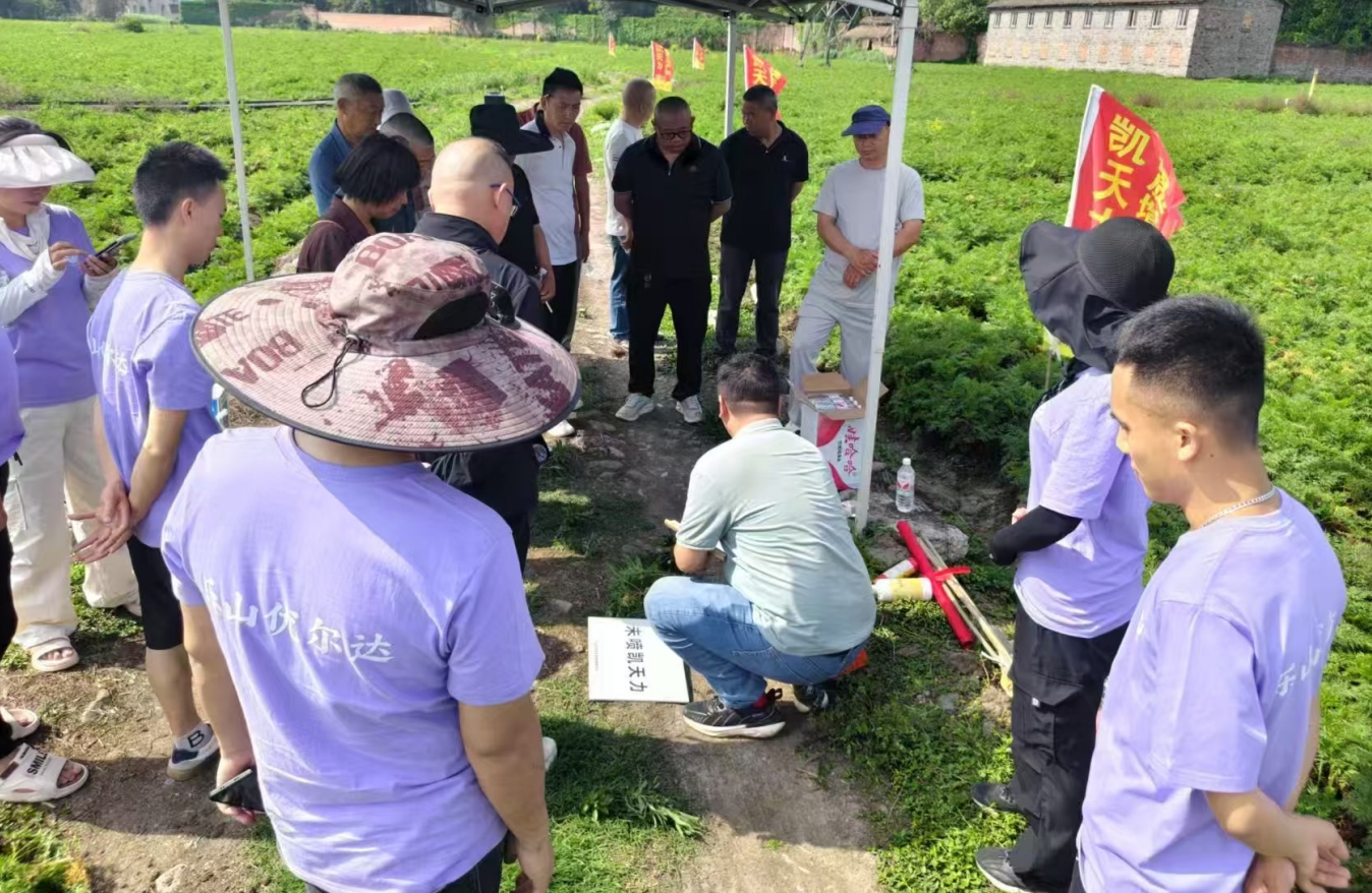 1745838318696017483.png 1745838318696017483.png