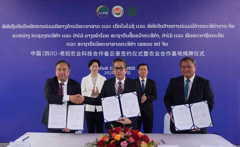 施小琳率四川代表团在老挝访问「相关图片」