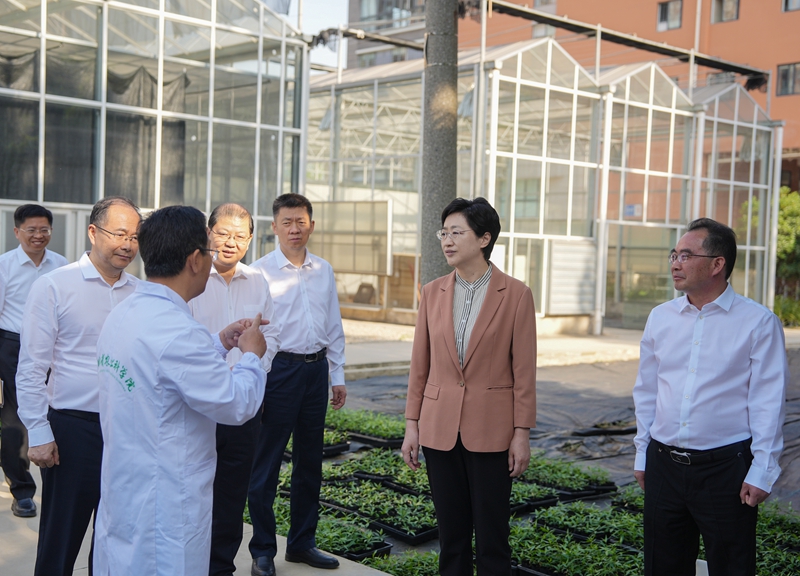 施小琳在农业农村厅和省农科院调研并召开专题会议
坚持守正创新协同联动
务实有为推动“三农”高质量发展「相关图片」