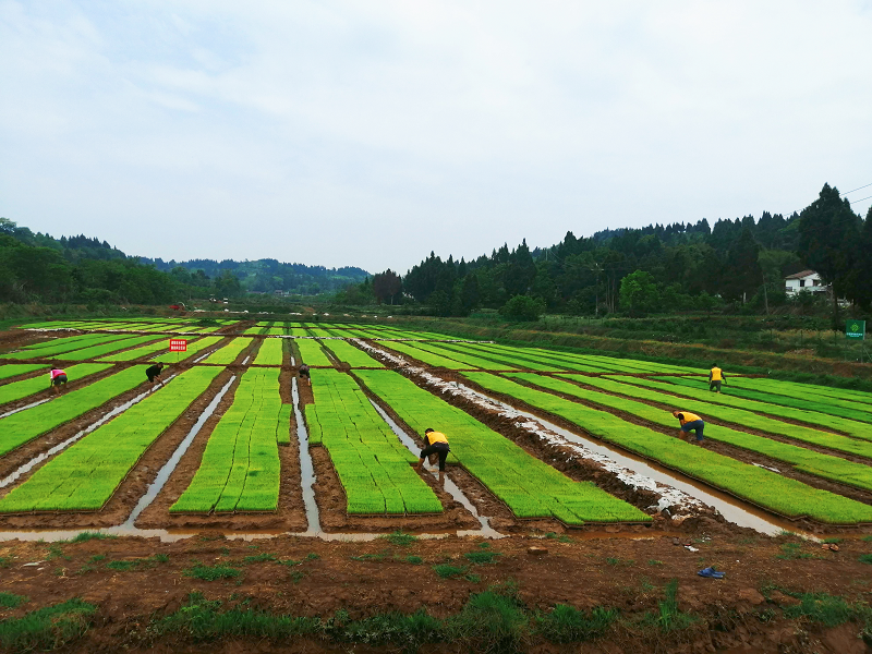 1747987241548004013.png 微信图片_20250523160018.png